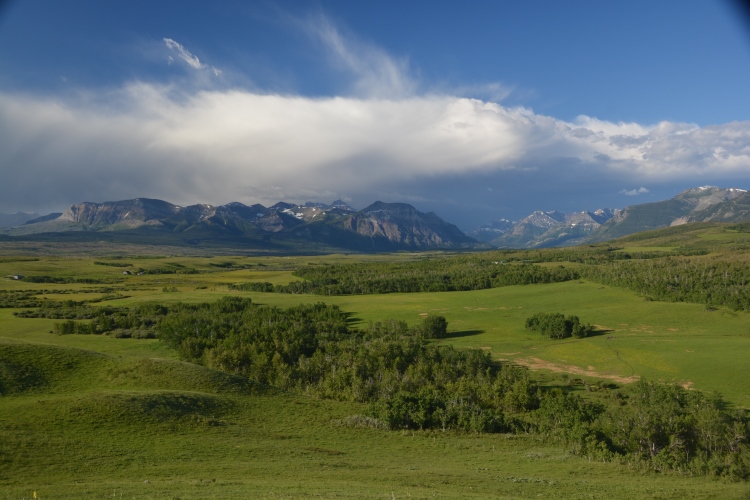 Alberta countryside